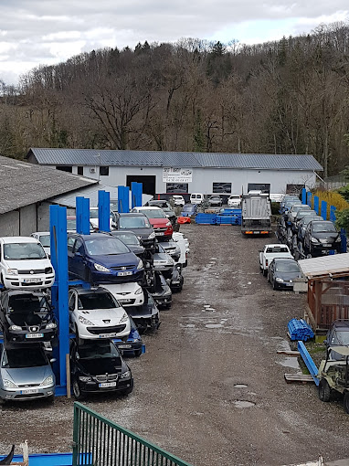 Aperçu des activités de la casse automobile SEG TARDY située à CLERMONT (74270)